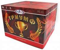 Батарея салютов МБ65 (1/1) Триумф