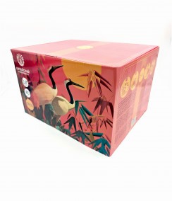 Батарея салютов CN31 (1/1)