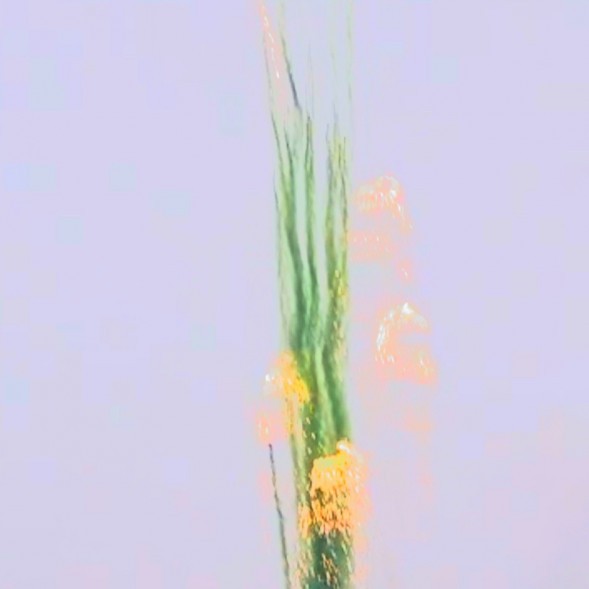Дневная батарея салютов МДП40 (4/1) 1,2&quot; 25 S GREEN SMOKE TAIL W WISTLE W TIT МДП40 в Москве 